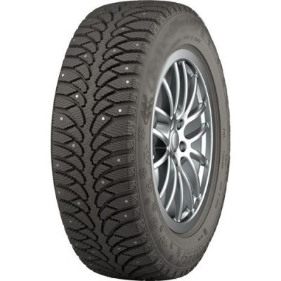 Tunga NORDWAY 2 205 55 R16 91Q